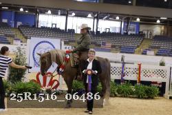 25R1516_06486 thumbnail