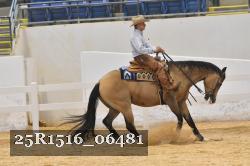 25R1516_06481 thumbnail