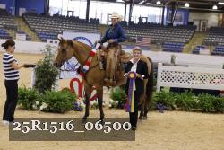 25R1516_06500 thumbnail