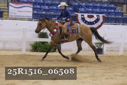 25R1516_06508 thumbnail