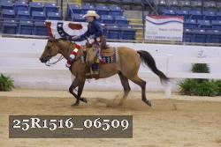 25R1516_06509 thumbnail