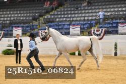 25R1516_06824 thumbnail