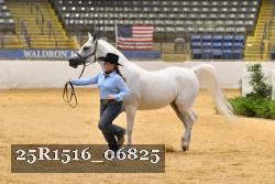 25R1516_06825 thumbnail