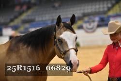 25R1516_06829 thumbnail