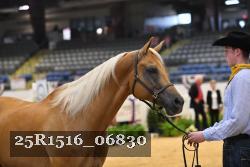 25R1516_06830 thumbnail