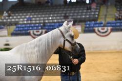 25R1516_06831 thumbnail