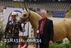 25R1516_06834 thumbnail