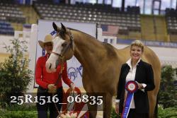 25R1516_06835 thumbnail