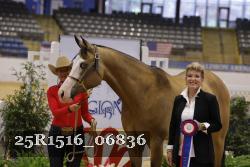 25R1516_06836 thumbnail