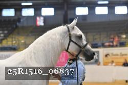 25R1516_06837 thumbnail