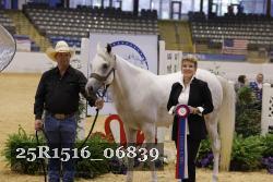 25R1516_06839 thumbnail