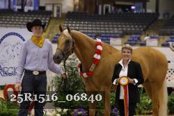 25R1516_06840 thumbnail