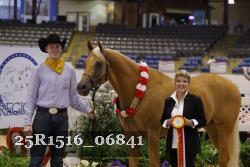 25R1516_06841 thumbnail