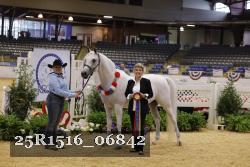 25R1516_06842 thumbnail