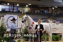 25R1516_06844 thumbnail
