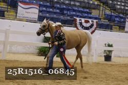 25R1516_06845 thumbnail
