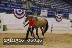 25R1516_06846 thumbnail