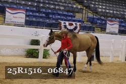 25R1516_06847 thumbnail
