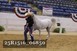 25R1516_06850 thumbnail