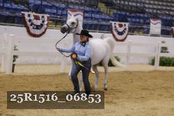 25R1516_06853 thumbnail