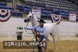 25R1516_06854 thumbnail