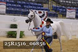 25R1516_06856 thumbnail