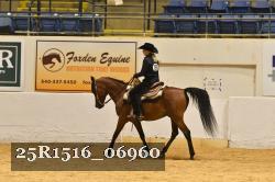 25R1516_06960 thumbnail
