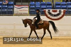 25R1516_06964 thumbnail