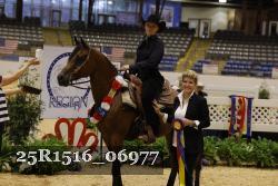 25R1516_06977 thumbnail