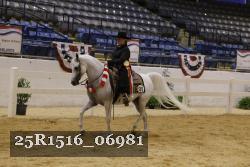 25R1516_06981 thumbnail