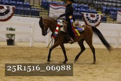25R1516_06988 thumbnail