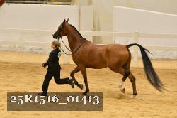 25R1516_01413 thumbnail