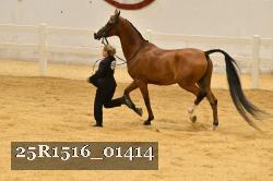 25R1516_01414 thumbnail