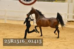 25R1516_01415 thumbnail