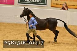 25R1516_01417 thumbnail