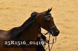 25R1516_01419 thumbnail