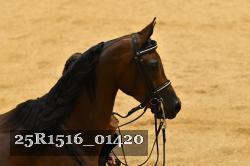 25R1516_01420 thumbnail
