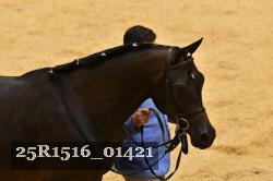 25R1516_01421 thumbnail
