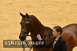 25R1516_01422 thumbnail