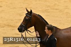 25R1516_01423 thumbnail