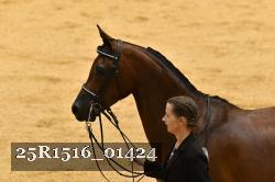 25R1516_01424 thumbnail
