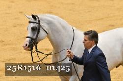 25R1516_01425 thumbnail