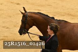 25R1516_01426 thumbnail