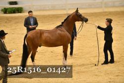 25R1516_01427 thumbnail