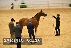 25R1516_01428 thumbnail