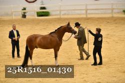 25R1516_01430 thumbnail