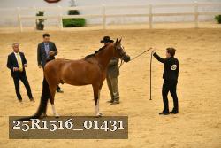 25R1516_01431 thumbnail
