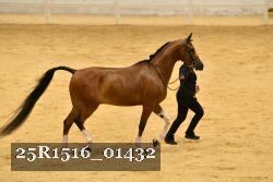 25R1516_01432 thumbnail