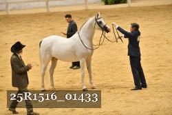 25R1516_01433 thumbnail