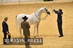 25R1516_01434 thumbnail